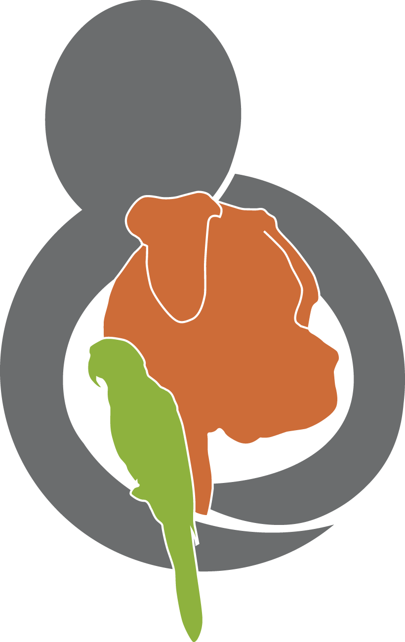 California Car Donations