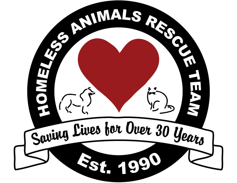 Donate A Car To A Nonprofit